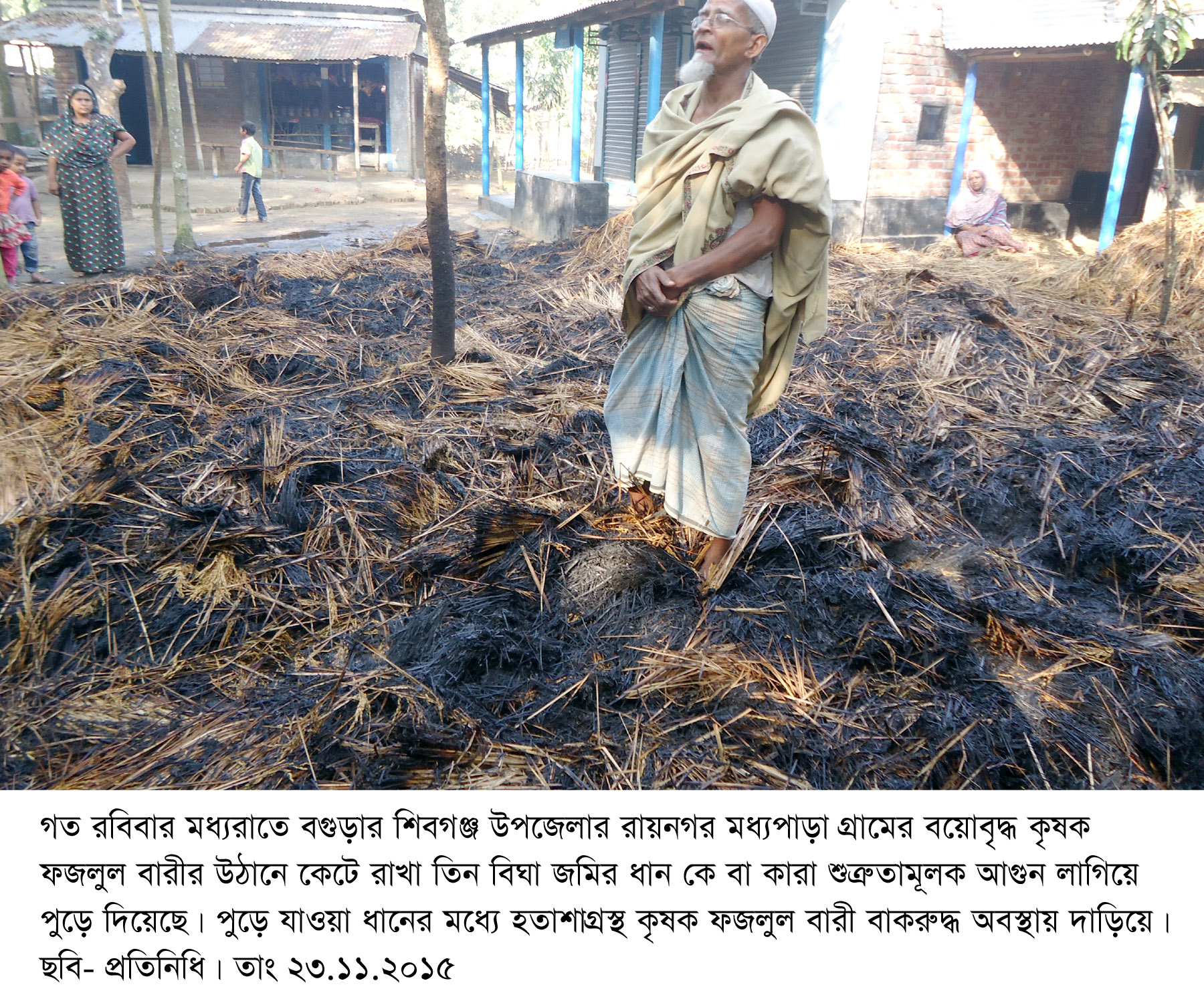 এ কেমন শত্রুতা ? রায়নগরে তিন বিঘা জমির কাটা ধানে আগুন কৃষকের মাথায় হাত