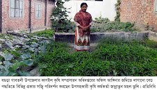 গাবতলীতে বসতবাড়ীর আঙ্গিনায় সজ্বি চাষে গৃহিনীদের অভিহিত করন