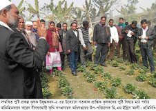 গাবতলীর কাগইলে সম্মন্বিত  পুষ্টি প্রকল্প কৃষক উদ্বৃদ্ধকরন