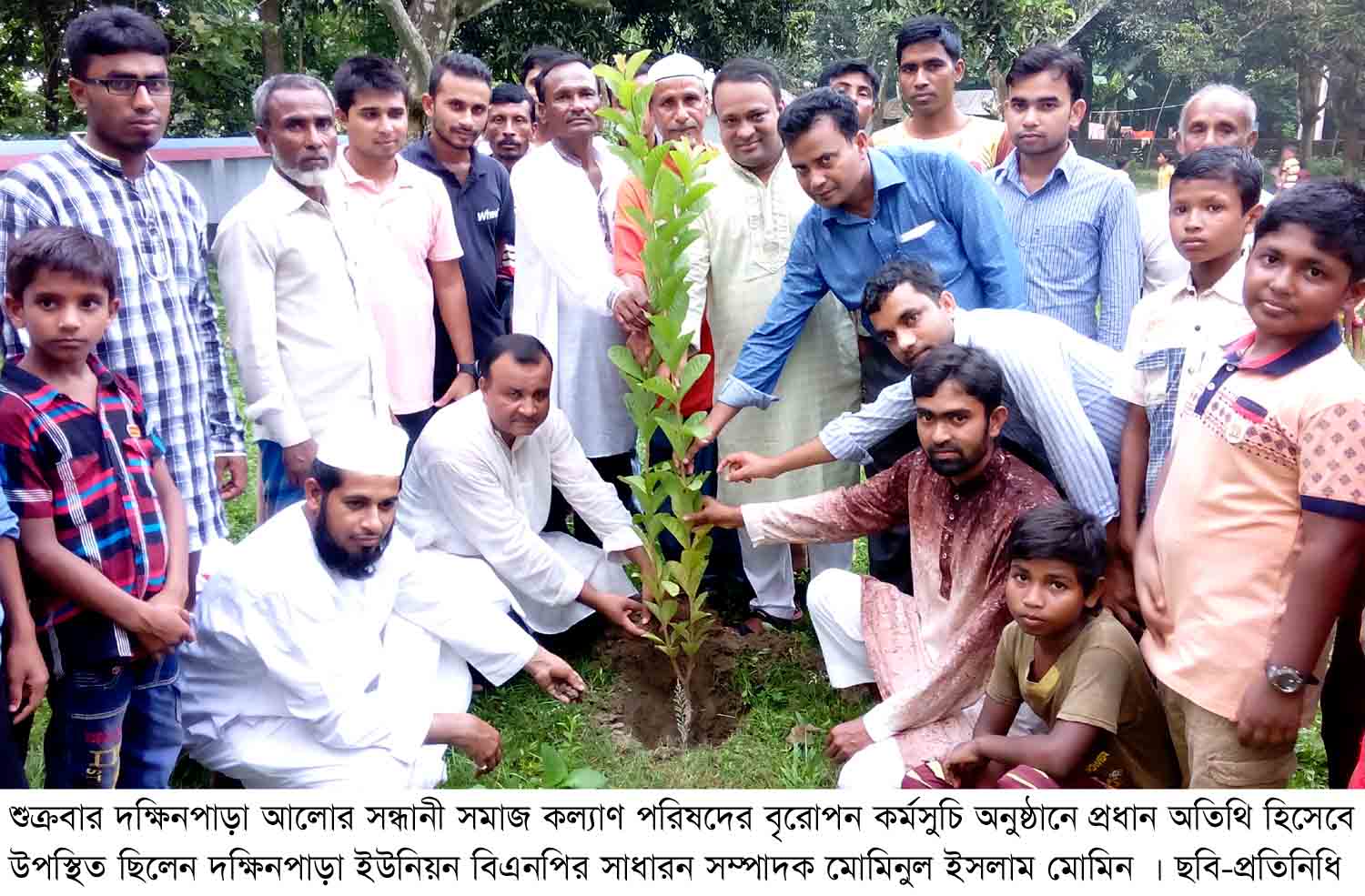 দক্ষিনপাড়া আলোর সন্ধানী সমাজ কল্যাণ  পরিষদের বৃক্ষ রোপন কর্মসূচী পালন