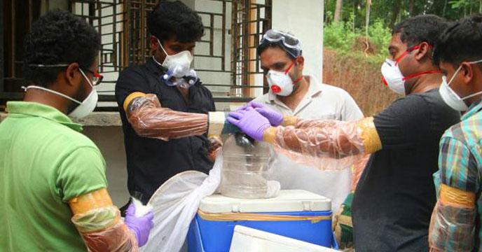 ঠাকুরগাঁওয়ে আবারো নিপাহ ভাইরাসে আক্রান্ত তিন জন