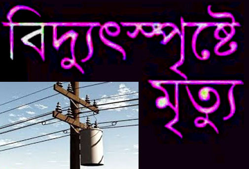 শিবগঞ্জে সাদুরিয়া গ্রামে বিদ্যুতের তারে জড়িয়ে যুবকের মৃত্যু 