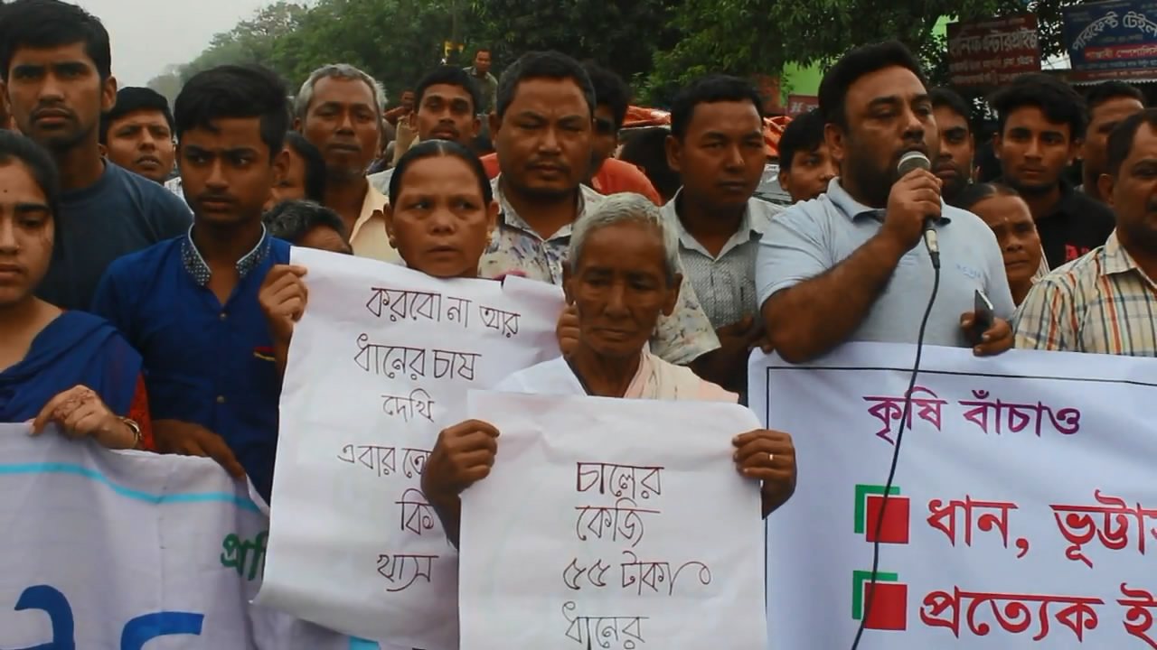 ঠাকুরগাঁওয়ে সড়কে ধান ফেলে কৃষকদের বিক্ষোভ