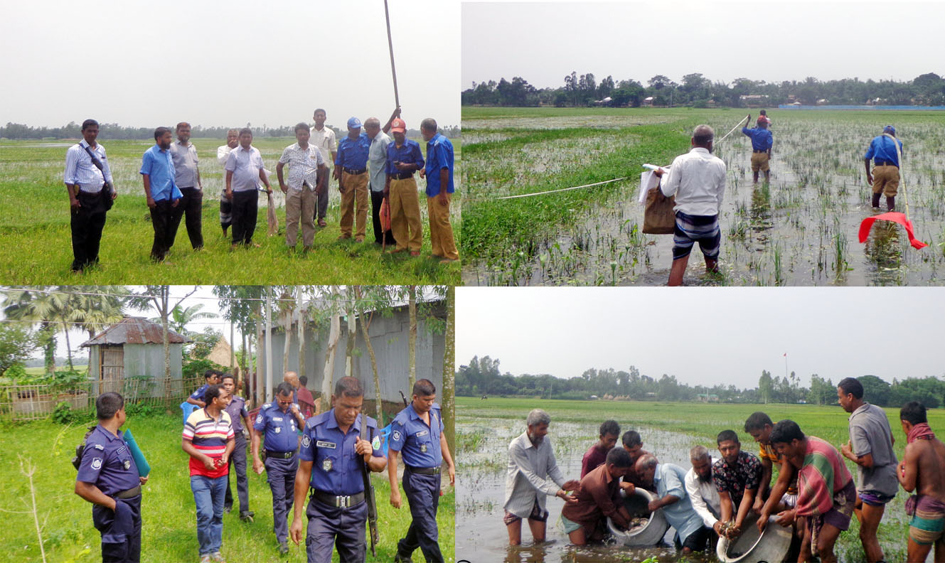 সোনাতলায় সরকারী ইজারাকৃত পারবাইশা বিলের সীমানা নির্ধারণ