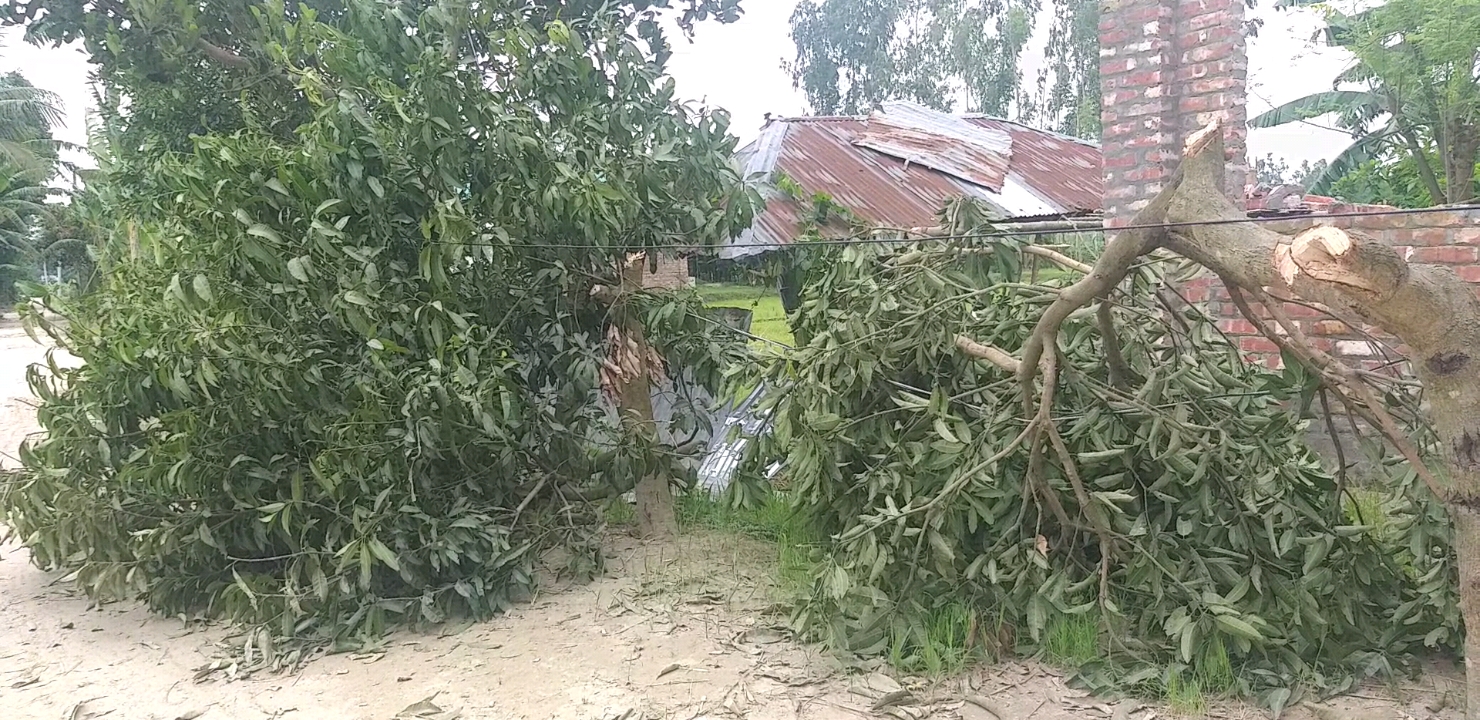 বগুড়ার শিবগঞ্জে জমি-জমা সংক্রান্তের  জের ধরে বাড়িঘর ভাংচুর লুটপাট আহত ৪