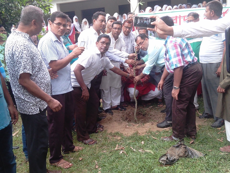 ঝিকরগাছায় বৃক্ষরোপন কর্মসূচির শুভ উদ্বোধন করলেন ডাঃ নাসির উদ্দিন এমপি