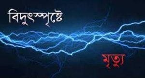 কমলগঞ্জে বিদ্যুৎস্পুষ্ট হয়ে লিলি বেগম নামে এক কলেজ ছাত্রীর মৃত্যু হয়েছে