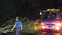 কালিয়াকৈরে সড়কে গাছ ফেলে ডাকাতি আহত-২