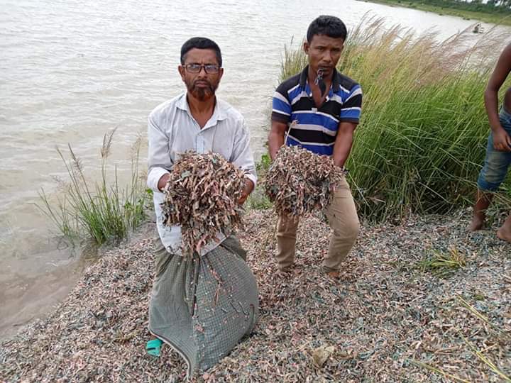 বগুড়ায় বিলের পাশ থেকে কয়েক বস্তা ছেঁড়া টাকা উদ্ধার ।