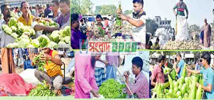 উত্তরাঞ্চলের সবচেয়ে বৃহত্তম পূন্ড্রনগরীর মহাস্থানহাটে শীতের আগাম সবজির  বাজার জমজমাট