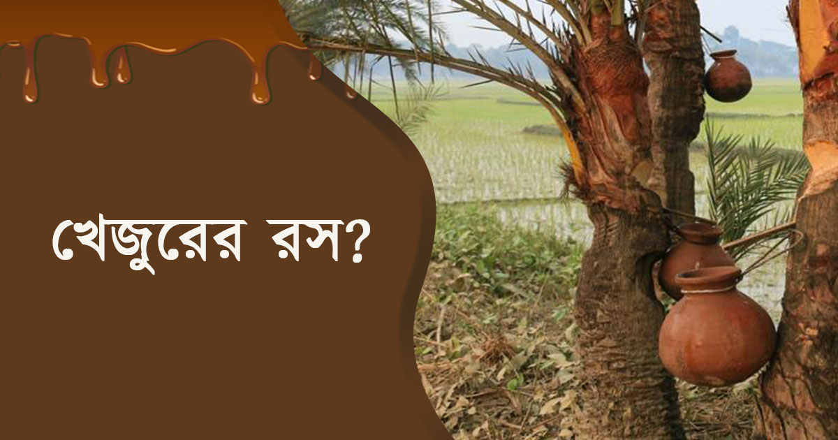 খেজুরের রসের উপকারিতা ও অপকারিতা