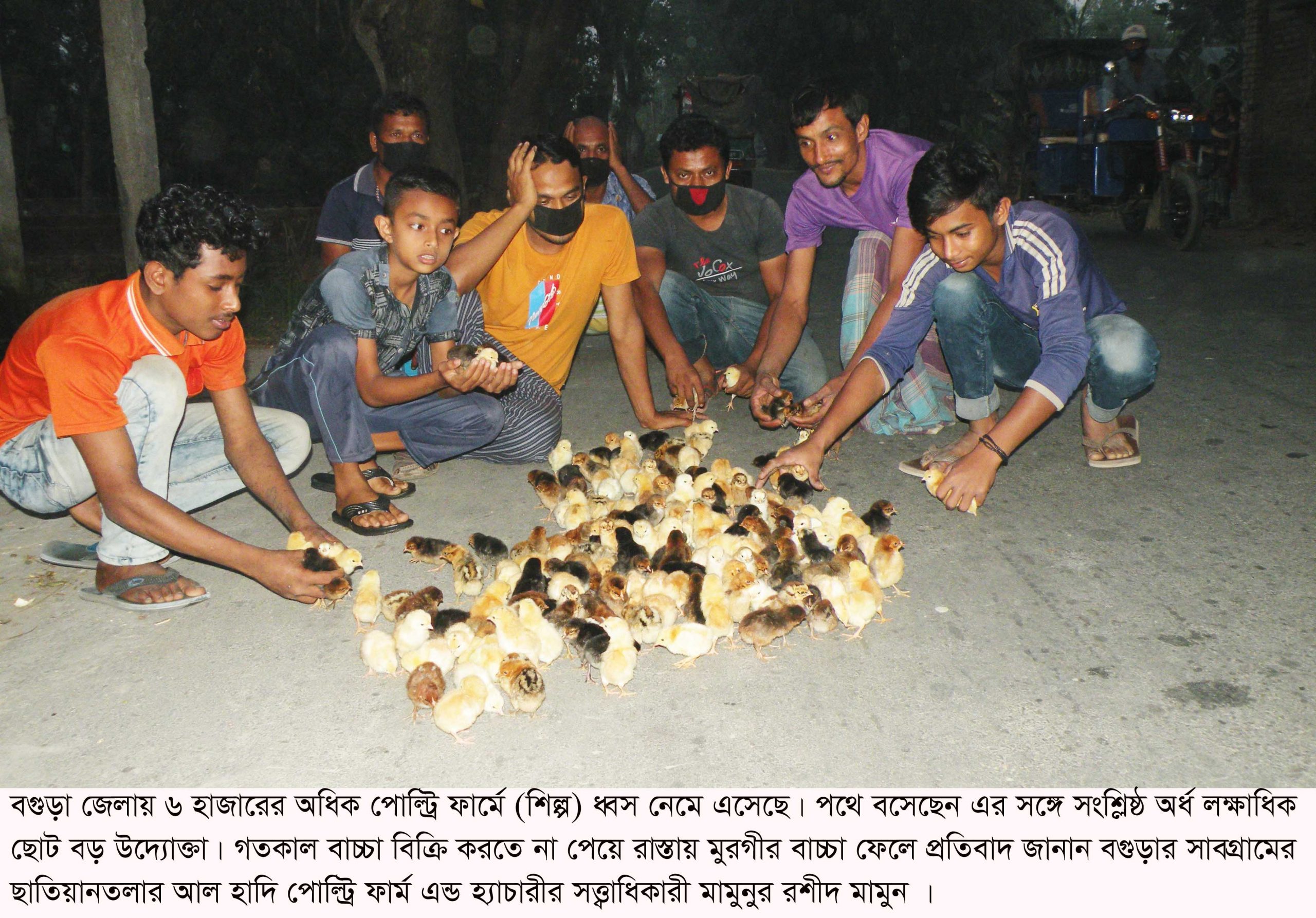 বগুড়ার ৬ হাজার পোল্ট্রি শিল্পে ধ্বস : সব বন্ধ হচ্ছে  ১ ডিমের দামে ৫ বাচ্চা বিক্রি !