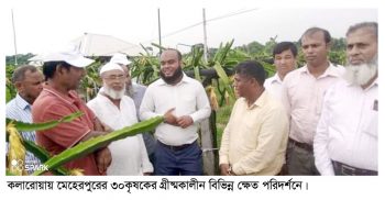 কলারোয়ায় মেহেরপুরের ৩০ কৃষকের গ্রীষ্মকালীন বিভিন্ন ক্ষেত পরিদর্শন